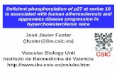 José Javier Fuster (jfuster@ibv.csic.es) Vascular Biology ...digital.csic.es/bitstream/10261/37014/1/view.pdfPositive cell cycle regulators Cyclin D1,2,3 CDK4,6 CDK1 Cyclin B CDK1