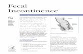 Fecal Incontinence - ecnb.orgecnb.org/pdf/fecalincontinence.pdffecal incontinence. It affects people of all ages—children and adults. Fecal inconti nence is more common in women