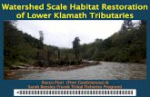 Watershed Scale Habitat Restoration of Lower Klamath ... · PDF file • Rocco Fiori – Engineering Geologist/Operating Engineer, Fiori GeoSciences • Sarah Beesley – Fisheries