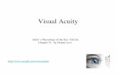 Visual Acuity - McGill Vision Researchmvr.mcgill.ca/Residents/Fall_17_Lectures/Visual_Acuity.pdf · Visual Acuity • Keeness of Sight, possible to be defined in different ways •