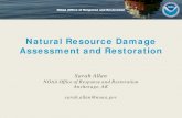 Natural Resource Damage Assessment and Restoration · Natural Resource Damage Assessment • Oil Pollution Act (OPA) authorizes natural resource trustees to conduct NRDA • Goals