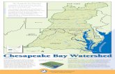 The Chesapeake Bay Watershed · 0 40 Miles Printed on Recycled Paper Water Bay Watershed Tributaries State Borders ork irginia ryd Pennsylvania. ra Dele New Jersey MAP AREA MARYLAND