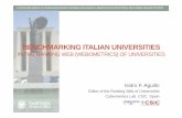 Benchmarking Italian Universities - Digital CSICdigital.csic.es/bitstream/10261/131143/1/Benchmarking Italian... · International students mobility • How many students study abroad?