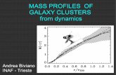 MASS PROFILES OF GALAXY CLUSTERS from dynamicsadlibitum.oats.inaf.it/biviano/moriond06.pdf · Layout of the talk: 1. Scientific motivations 2. Historical introduction 3. Methods of