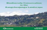 BBiodiversity Conservationiodiversity Conservation iin ... · Dyutiman Choudhary Section 4 – The Policy Perspective Policy Issues of Land-Use and Land-Tenure Systems and Natural