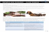Genetics and Evolution Junior Sciencegzscienceclassonline.weebly.com/uploads/1/1/3/6/11360172/pdf_v2_… · Some species can reproduce using both methods. Sexual Reproduction Organisms