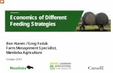 Economics of Different Feeding Strategies€¦ · Economics of Different Feeding Strategies . Ben Hamm / Greg Fedak . Farm Management Specialist, Manitoba Agriculture. October 2019.
