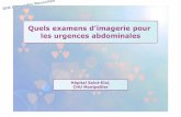 Quels examens ’ pour les urgences abdominalessfrlr.free.fr/wa_files/URG_20ABDO.pdfles urgences abdominales SFR Languedoc Roussillon. Scanner en urgence (Larson 2011) ... Adapter