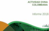 ACTIVIDAD OVINA COLOMBIANA - Asoovinos Colombia...Fuente: Agronet,2017. asoovinoscolombia.org Pesos del cordero al sacrificio Global agri benchmark network results 2017 –SHEEPMEAT.