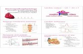 Generation of action potential and its conduction in heart ... · • early after-depolarisation – manifests as a ventricular tachyarrhythmia • late after-depolarisation – manifests