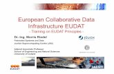 European Collaborative Data Infrastructure EUDAT · – Persistent data identifiers – Metadata management – Distributed data sources – Data interoperability Example: EUDAT user