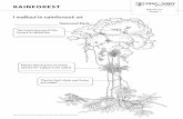 Rainforest Kit - Rainforest worksheets stages 1 - 3 · 2019-11-01 · PROTECTING RAINFOREST I look after rainforest because I - Tell people what a small amount of this kind of forest