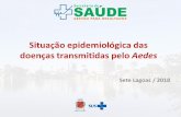 Situação epidemiológica das doenças transmitidas pelo Aedes · Arboviroses no Brasil Desafios para a clínica e implicações para a saúde pública O aumento de indivíduos acometidos,