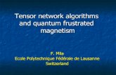 Tensor network algorithms and quantum frustrated magnetism€¦ · " Models of 2D frustrated quantum magnetism ! Shastry-Sutherland model: " Zero-field phase diagram " Magnetization