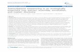 RESEARCH ARTICLE Open Access Transcriptome sequencing in ... · able for gene annotation and discovery [2,4], compara-tive genomics [5], development of molecular markers [6,7], and