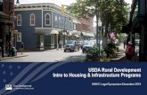 USDA Rural Development Intro to Housing & Infrastructure ...naihc.net/wp-content/uploads/2020/01/Block-3-Palace-3-Tedd-Buelo… · Intro to Housing & Infrastructure Programs NAIHC
