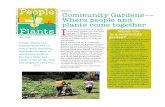 HOW TO GROW A COMMUNITY GARDEN People · PDF file A3905-01. Community Gardens— Where people and . plants come together. Plants + HOW TO GROW A COMMUNITY GARDEN . People • • HOW