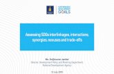 Assessing SDGs interlinkages, interactions, synergies, nexuses … · 2019-08-05 · Assessing SDGs interlinkages, interactions, synergies, nexuses and tradeoffs-12 July 2019. Ms.