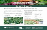 NEP-220 Growing Your Own · Growing Your Own A beginner’s guide to gardening Green Beans G reen beans are easy to grow and quick to produce when picked while still green or immature.