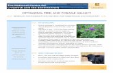 OPTIMIZING FEED AND FORAGE QUALITY€¦ · OPTIMIZING FEED AND FORAGE QUALITY Forage should be grown to optimize quality and quantity Page 1 BENEFICIAL MANAGEMENT PRACTICE (BMP) FOR