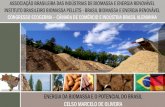 ENERGIA DA BIOMASSA E O POTENCIAL DO BRASIL CELSO …€¦ · A Associação Brasileira das Indústrias de Biomassa e Energia Renovável fundada em abril de 2009 como uma associação