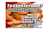 Natural Testosterone Enhancement Disclaimer · 2014-01-10 · ...TESTOSTERONE! In fact, sales of natural “Testosterone Booster” supplements are at an all time HIGH as guys everywhere