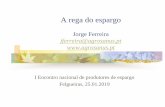 Apresentação do PowerPoint · Apresentação do PowerPoint Author: Jorge Ferreira Created Date: 20190118234641Z ...