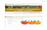 Pepper Variety Performance in High Tunnels · 2019-04-15 · 2/13/2019 1 1 Pepper Variety Performance in High Tunnels Petrus Langenhoven, Ph.D. Horticulture and Hydroponics Crops