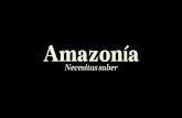 Amazonía - Microsoft · 5,2 61 % de Brasil millones de km -Concepto político administrativo adoptado en los años 50 -Incluye 9 estados - Acre, Amapá, Pará, Amazonas, Rondônia,