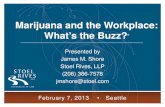Marijuana and the Workplace: What’s the Buzz? · 2/7/2013  · • Medical Marijuana and the Workplace • Unionized Workforce Issues • Drug Testing Policy Considerations ...