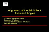 Alignment of the Adult Foot: Axes and Anglesbonepit.com/Syllabi/Foot alignment adult bonepit.pdf1. Collum tali axis (CTA) should parallel 1st metatarsal axis • Lateral talar-first