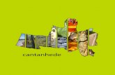 · PDF file Geographical Position Social and Economic Indicators Cantanhede is the biggest Municipality in the District of Coimbra, and it is situated in the centre of a geographical