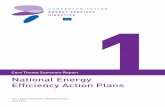 Core Theme Summary Report National Energy Efficiency ...€¦ · CA ESD Core Theme 1 Summary Report 7 lies with different ministries in different MS and also with different bodies