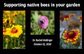 Supporting native bees in your garden - UF/IFAS OCI · Systemic neonicotinoids. imidacloprid, acetamiprid, clothianidin, dinotefuran, nithiazine, thiacloprid and thiamethoxam. Tips