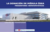 LA DONACIÓN DE MÉDULA ÓSEA · PDF file 2020-06-26 · CENTRO DE TRANSFUSIÓN LA DONACIÓN DE MÉDULA ÓSEA 4 1-INFORMACIÓN GENERAL Los progenitores hematopoyéticos (PH), o células