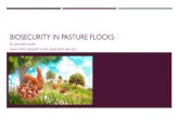 Biosecurity in pasture flocks · 2019-04-08 · BIOSECURITY AUDITS/ASSESSMENTS SES Plan Biosecurity Checklist E1.1 Avian Influenza HPAI (APHIS) Poultry Facitily Bosi ecurity Assessment