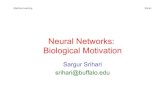 Neural Networks: Biological Motivationsrihari/CSE574/Chap5/Chap5.0-Biology.pdf · Neural Networks: Biological Motivation Sargur Srihari ... of a neuron (nerve cell). Machine Learning