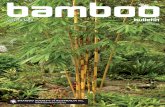 Inside this Issue - Bamboo€¦ · “Moso” (Phyllostachys heterocycla pubescens) using a four-sided timber training frame (Lewis Bamboo, Inc., 2016). Ancillary to the XS modiﬁ