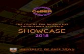 THE CENTRE FOR BIOPROCESS ENGINEERING RESEARCH … · Centre for Bioprocess Engineering Research (CeBER), Department of Chemical Engineering, University of Cape Town, Rondebosch,