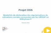 Projet DSN · 2015-02-19 · Introduction Mise à disposition de la documentation sur dsn-info.fr 4 Certaines des remarques formulées ont été entendues et des modifications ont