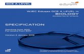 A level specification template - Eduqas · WJEC Eduqas GCE A LEVEL in BIOLOGY SPECIFICATION Teaching from 2015 For award from 2017 Version 2 January 2019 This Ofqual regulated qualiﬁcation
