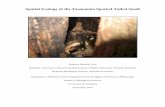Spatial ecology of the Tasmanian Spotted-Tailed Quoll · 2015-02-04 · Dr. Clare Hawkins, DPIPWE and School of Biological Sciences, UTAS Chapters 1 - 6 Contributed to ideas, edited
