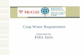 Crop Water Requirement - McGill University · Irrigation requirement for Tomato :12th May - 12th Sept ( Marie-Helene) (50% Dependable rainfall) Growth stage Initial Development Mid