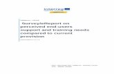 CERIecon CE119 Survey/eReport on perceived end-users · 2020-04-28 · 3 INTRODUCTION In order to adequately orient the project support activities aimed at fostering an enhanced innovation