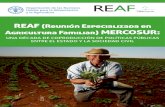 REAF (Reunión Especializada en Agricultura Familiar ......dentro del mismo Mercosur con otros órganos asesores especializados como la Reunión Especializada de Juventud, la Reunión