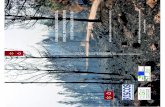 Antonio Jordán - mento GRANDES INCÊNDIOS ...antoniojordan.weebly.com/uploads/2/2/2/8/22283836/...2 Titulo: Grandes incêndios florestais, erosão, degradação e medidas de recuperação