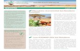 Pflanzliche Arzneimittel bei Reizdarm einsetzen · PDF file Dabei sind pflanzliche Arzneimittel ein wesentlicher Bestandteil, besonders zur Symptomtherapie. Mehr dazu: Interview mit