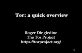 Tor: a quick overviewViruses Exploits Phishing Spam Botnets Zombies Espionage DDoS Extortion. 23 The simplest designs use a single relay to hide connections. ... Spam via Google Groups