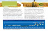 agrocombustibles - ECOagricultor€¦ · agrocombustibles, precios de los alimentos y hambre 1. Introducción Este informe proporciona un resumen sobre los impactos de los agrocombustibles