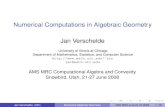 Numerical Computations in Algebraic Geometry Jan Verscheldejan/Talks/numalgmrc.pdf · Computational algebraic geometry mainly uses symbolic computing: resultants and Gröbner bases